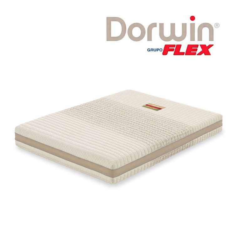 Natur Talalay de Dorwin