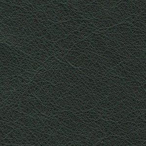 Sofás NATUZZI EDITIONS | Dermacolchón
