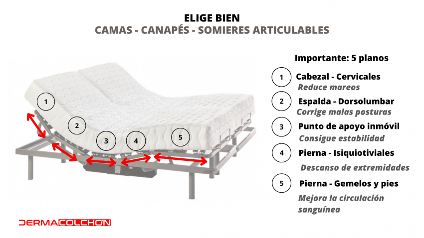 somieres ARTICULADOS