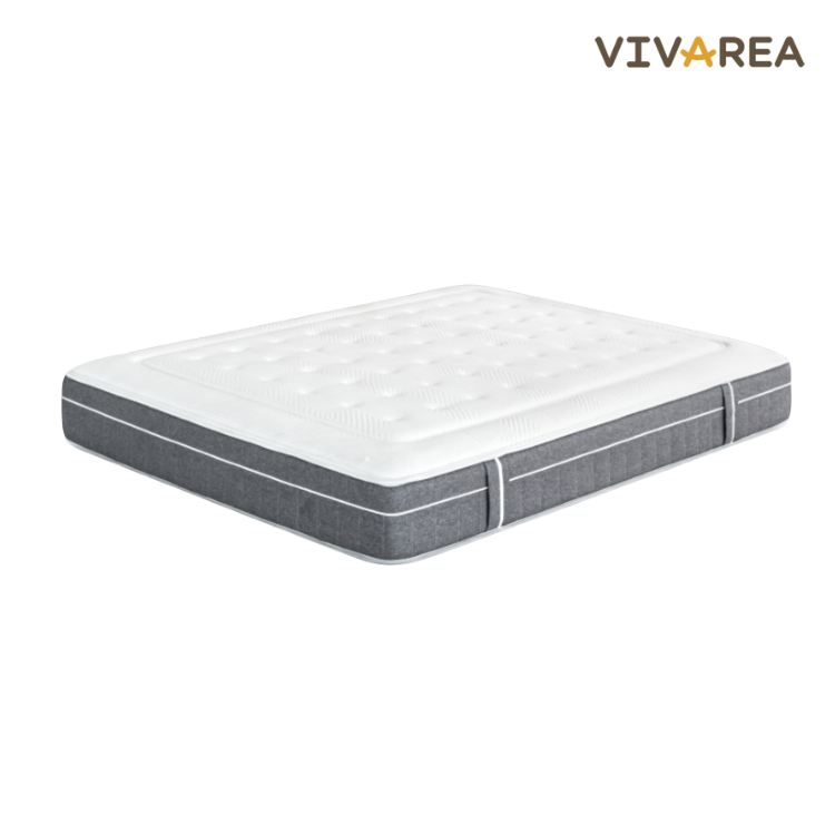 dermacolch n 1 26 dermacolch n 1 26