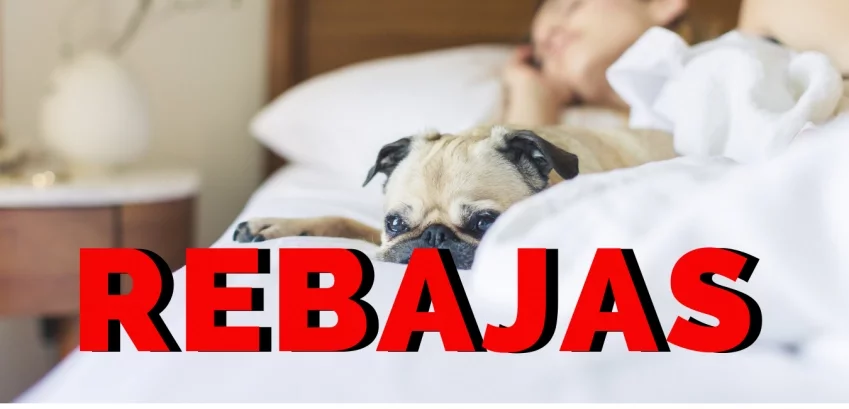 Rebajas Ofertas y rebajas en productos de descanso