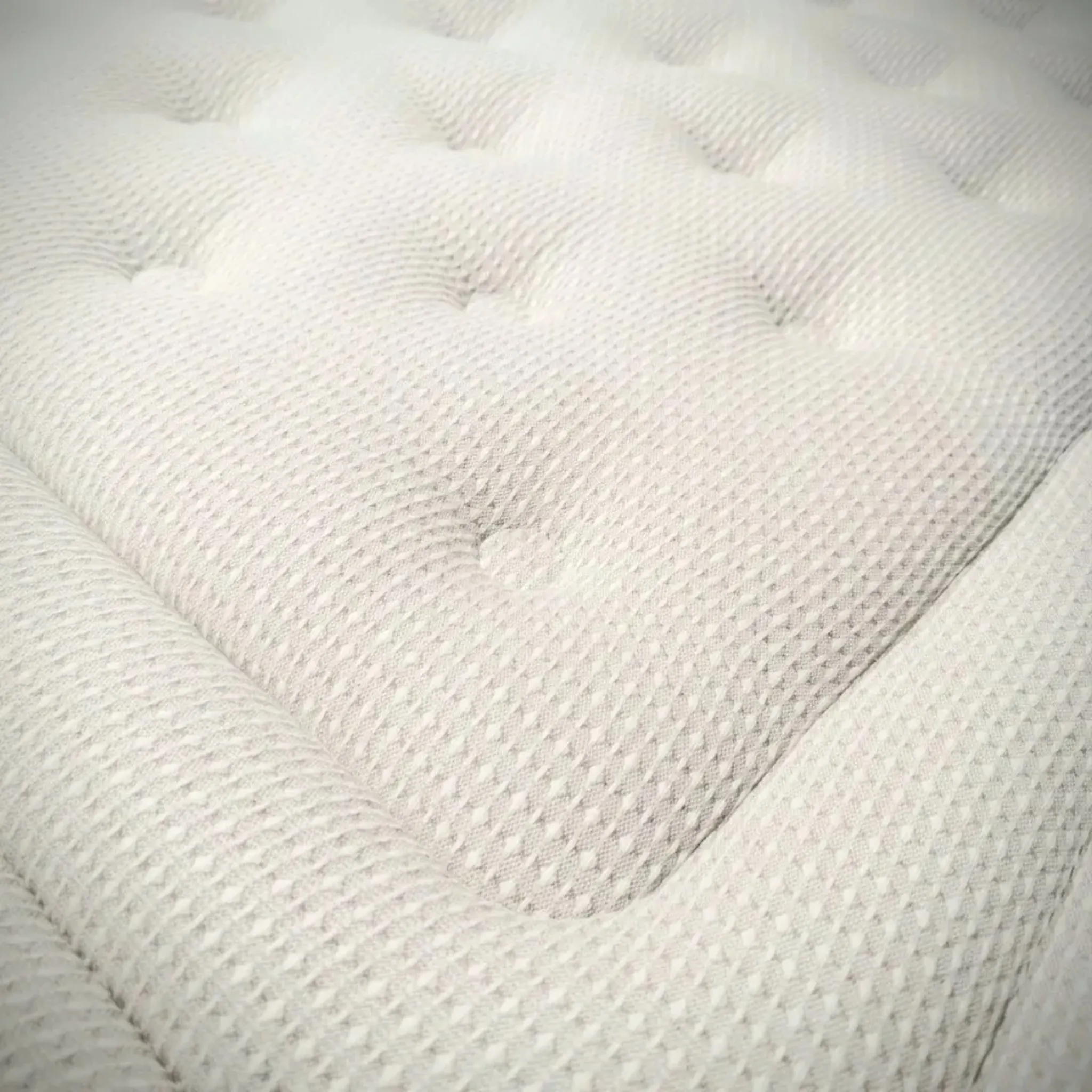 Detalle Aspol 5 Estrellas